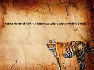Kanha National Park – A landmass where exotic wildlife dwells

 