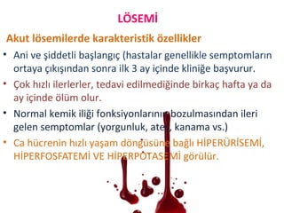 Akut lösemilerde karakteristik özellikler
• Ani ve şiddetli başlangıç (hastalar genellikle semptomların
ortaya çıkışından sonra ilk 3 ay içinde kliniğe başvurur.
• Çok hızlı ilerlerler, tedavi edilmediğinde birkaç hafta ya da
ay içinde ölüm olur.
• Normal kemik iliği fonksiyonlarının bozulmasından ileri
gelen semptomlar (yorgunluk, ateş, kanama vs.)
• Ca hücrenin hızlı yaşam döngüsüne bağlı HİPERÜRİSEMİ,
HİPERFOSFATEMİ VE HİPERPOTASEMİ görülür.
LÖSEMİ
 