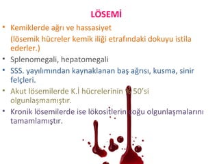 • Kemiklerde ağrı ve hassasiyet
(lösemik hücreler kemik iliği etrafındaki dokuyu istila
ederler.)
• Splenomegali, hepatomegali
• SSS. yayılımından kaynaklanan baş ağrısı, kusma, sinir
felçleri.
• Akut lösemilerde K.İ hücrelerinin % 50’si
olgunlaşmamıştır.
• Kronik lösemilerde ise lökositlerin çoğu olgunlaşmalarını
tamamlamıştır.
LÖSEMİ
 