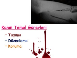 Kanın Temel Görevleri
• Taşıma
• Düzenleme
• Koruma
 