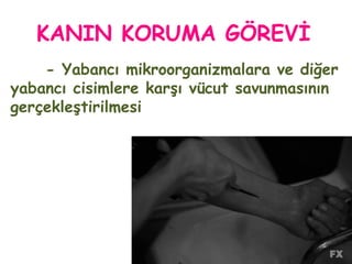 KANIN KORUMA GÖREVİ
- Yabancı mikroorganizmalara ve diğer
yabancı cisimlere karşı vücut savunmasının
gerçekleştirilmesi
 