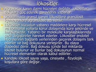 lökositler Akyuvarlar kanın daimi hücreleri değildir. lokositler dokulara göç ederek görevlerini yaparlar. Stoplazmada granül içeren lökositlere granülosit İçemeyenlere agranülosit adı verilir. Lökositler vücudun yabancı maddelere karşı hücresel ve hormonal yollarla korur.dolaşımda küre şeklinde ve hareketsizdir. Yabancı bir molekülle karşılaştıklarında şekil değiştirirler hareket ederler. Lökositler endotel hücrelerinin bağlantı yerlerinden geçerek dolaşımı terk ederler ve bağ dokusuna yerleşirler. Bu olaya diapedez denir. Bağ dokusu içinde bol miktarda lökosit bulunur ve bunlar bağ dokusunun normal hücresel elemanları olarak kabul edilirler.  Kandaki lökosit sayısı yaşa, cinsiyete , fizyolojik koşullara göre değişir.  
