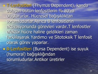 T-Lenfositleri  (Thymus Dependent), kanda dolaşan bütün lenfositlerin% 80'ini oluştururlar. Hücresel bağışıklıktan sorumludurlar.Ayrıca B lenfositlerin aktivasyonunda görevleri vardır.T lenfositler efektör hücre haline geldikleri zaman farklılaşarak Yardımcı ve Sitotoksik T lenfosit olarak görev yaparlar.  B-Lenfositleri  (Bursa Dependent) ise suyuk (humoral) bağışıklığından sorumludurlar.Antikor üretirler  