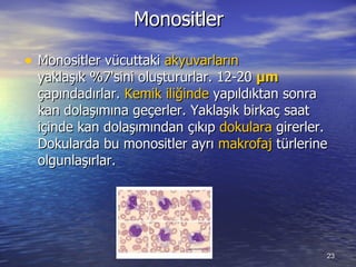 Monositler Monositler vücuttaki  akyuvarların  yaklaşık%7'sini oluştururlar. 12-20  μm  çapındadırlar.  Kemik iliğinde  yapıldıktan sonra kan dolaşımına geçerler. Yaklaşık birkaç saat içinde kan dolaşımından çıkıp  dokulara  girerler. Dokularda bu monositler ayrı  makrofaj  türlerine olgunlaşırlar.  