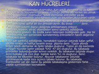 KAN HÜCRELERİ Kan hücre ve sıvı kısımdan oluşmuştur. Kan şekilli elemanlar ya da kan hücreleri ile bu hücrelerin içerisinde yüzdüğü plazma adı verilen sıvı olmak üzere iki kısımdan oluşmuştur. Şekilli elemanlar eritrositler ya da alyuvarlar, trombositler veya kanpulcukları ve lökositler(akyuvarlar) vardır.  Kan dolaşım sistemi dışına çıktığında pıhtılaşır. Bu pıhtı şekilli elemanları içerir. Sarı renkli şeffaf bir sıvı pıhtıdan ayrılır. Bu sıvıya  serum  denir.  Kan dolaşım sistemi dışına çıktığında pıhtılaşmasını önleyici maddeler(heparin, sitrat) eklendikten sonra santrifüj edildiğinde tabakalaşma gösterir. Bu özellik kanın heterojen özelliğinden gelir. Her bir birim hacimlik kan içerisindeki kümelenmeiş eritrositlerin hacim değerine hematokrit denir.  Total kan santrifüj edildiğinde, hematokrit tüpünün üstünde kalan şeffaf, sarımsı renkte ve hafifçe kıvamlı sıvıya  plazma denir. Tüpün altında briken şekilli elemanlar iki farklı tabaka oluşturur. Tüpün en dip kısmında yerleşen hücreler kanın yaklaşık %42 -47 sini oluşturur. Bu tabakada eritrositler bulunduğundan kırmızı renklidir. Bu tabakanın üstünde oluşan ikinci tyabaka çok ince olup  tüpteki kanın %1 ini oluşturur. İkinci tabakada ise lökositler bulunur. Akyuvar tabakasının üstünde görülmeyecek kadar ince üçüncü tabaka bulunur. Bu tabakada trombositler yer alır. Kanın bu şekilde tabakalaşma göstermesi farklı yapılar içermesinden kaynaklanır.  