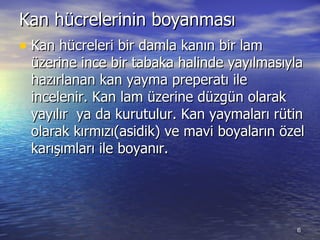 Kan hücrelerinin boyanması  Kan hücreleri bir damla kanın bir lam üzerine ince bir tabaka halinde yayılmasıyla hazırlanan kan yayma preperatı ile incelenir. Kan lam üzerine düzgün olarak yayılır  ya da kurutulur. Kan yaymaları rütin olarak kırmızı(asidik) ve mavi boyaların özel karışımları ile boyanır.  