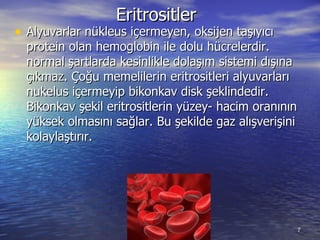 Eritrositler  Alyuvarlar nükleus içermeyen, oksijen taşıyıcı protein olan hemoglobin ile dolu hücrelerdir. normal şartlarda kesinlikle dolaşım sistemi dışına çıkmaz. Çoğu memelilerin eritrositleri alyuvarları nukelus içermeyip bikonkav disk şeklindedir. Bikonkav şekil eritrositlerin yüzey- hacim oranının yüksek olmasını sağlar. Bu şekilde gaz alışverişini kolaylaştırır.  