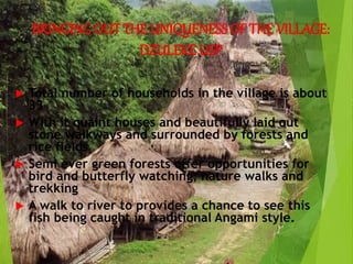 BRINGING OUT THE UNIQUENESS OF THE VILLAGE:
DZULEKE USP
 Total number of households in the village is about
33
 With it quaint houses and beautifully laid out
stone walkways and surrounded by forests and
rice fields
 Semi ever green forests offer opportunities for
bird and butterfly watching; nature walks and
trekking
 A walk to river to provides a chance to see this
fish being caught in traditional Angami style.
 