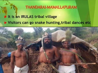 THANDARAI-MAMALLAPURAM
 It is an IRULAS tribal village
 Visitors can go snake hunting,tribal dances etc
 