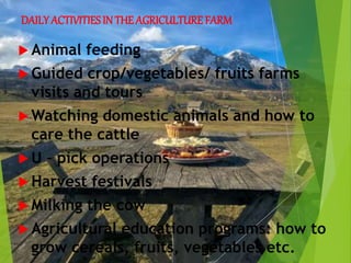 DAILY ACTIVITIESIN THEAGRICULTURE FARM
 Animal feeding
 Guided crop/vegetables/ fruits farms
visits and tours
 Watching domestic animals and how to
care the cattle
 U – pick operations
 Harvest festivals
 Milking the cow
 Agricultural education programs: how to
grow cereals, fruits, vegetables etc.
 