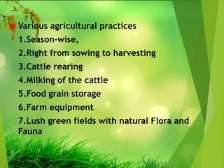  Various agricultural practices
1.Season-wise,
2.Right from sowing to harvesting
3.Cattle rearing
4.Milking of the cattle
5.Food grain storage
6.Farm equipment
7.Lush green fields with natural Flora and
Fauna
 