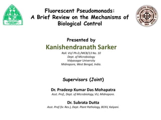 Fluorescent Pseudomonads:
A Brief Review on the Mechanisms of
Biological Control
Presented by
Kanishendranath Sarker
Roll. VU/ Ph.D./MCB/13 No. 10
Dept. of Microbiology
Vidyasagar University
Midnapore, West Bengal, India.
Supervisors (Joint)
Dr. Pradeep Kumar Das Mohapatra
Asst. Prof., Dept. of Microbiology, VU, Midnapore.
Dr. Subrata Dutta
Asst. Prof (Sr. Res.), Dept. Plant Pathology, BCKV, Kalyani.
 