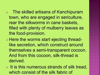  The skilled artisans of Kanchipuram
town, who are engaged in sericulture,
rear the silkworms in cane baskets,
filled with plenty of mulberry leaves as
the food-provision.
Here the worms start ejecting thread-
like secretion, which construct around
themselves a semi-transparent cocoon.
And from this cocoon, silk-thread is
derived.
 It is this numerous strands of silk tread,
which consist of the silk fabric of
 
