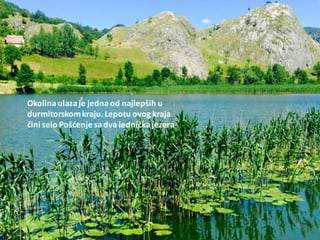 Okolinaulazaje jednaod najlepših u
durmitorskomkraju.Lepotu ovog kraja
čini selo Pošdenje sadva ledničkajezera
 