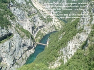 do ulaska u veštačko Pivsko jezero formirano
izgradnjom hidroelektraneMratinje. Jezeroje
potopilodeo toka Komarnice, vrelo Sinjac i
vedi deo toka Pive.
Ispod Mratinja, Piva teče 10 km do sastavaka
sa Tarom gde zajedno formiraju rekuDrinu.
 