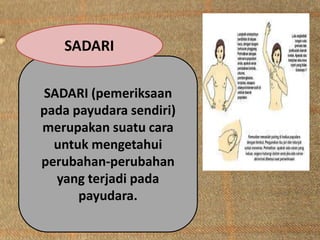 SADARI (pemeriksaan
pada payudara sendiri)
merupakan suatu cara
untuk mengetahui
perubahan-perubahan
yang terjadi pada
payudara.
SADARI