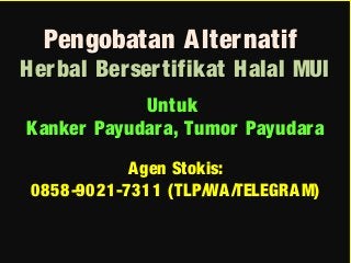 Pengobatan AlternatifPengobatan Alternatif
Herbal Bersertifikat Halal MUIHerbal Bersertifikat Halal MUI
UntukUntuk
Kanker Payudara, Tumor PayudaraKanker Payudara, Tumor Payudara
Agen Stokis:Agen Stokis:
0858-9021-7311 (TLP/WA/TELEGRAM)0858-9021-7311 (TLP/WA/TELEGRAM)
 