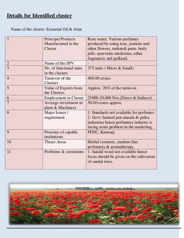 topic in essay jawaharlal nehru pdf