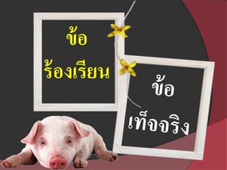 ข้อ
ร้องเรียน
 