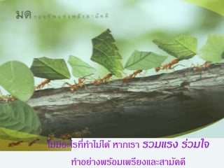 ไม่มีอะไรที่ทำไม่ได้ หำกเรำ รวมแรง ร่วมใจ
ทำอย่ำงพร้อมเพรียงและสำมัคคี
 