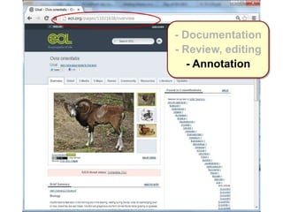- Documentation
- Review, editing
- Annotation
 