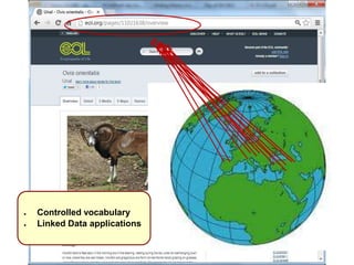 ● Controlled vocabulary
● Linked Data applications
 