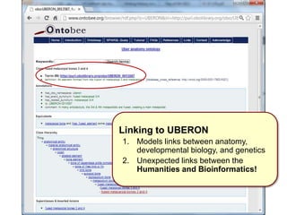 Linking to UBERON
1. Models links between anatomy,
developmental biology, and genetics
2. Unexpected links between the
Humanities and Bioinformatics!
 