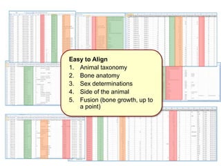 Easy to Align
1. Animal taxonomy
2. Bone anatomy
3. Sex determinations
4. Side of the animal
5. Fusion (bone growth, up to
a point)
 