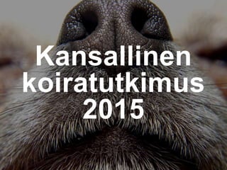 Kansallinen
koiratutkimus
2015
 