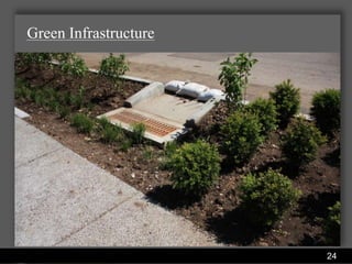 Green Infrastructure




                Water Services Department   24
 