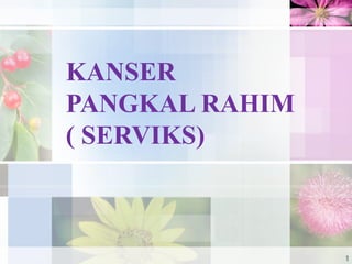 KANSER
PANGKAL RAHIM
( SERVIKS)
1
 