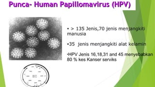 • > 135 Jenis,70 jenis menjangkiti
manusia
•35 jenis menjangkiti alat kelamin
•HPV Jenis 16,18,31 and 45 menyebabkan
80 % kes Kanser serviks
Punca- Human Papillomavirus (HPV)Punca- Human Papillomavirus (HPV)
 