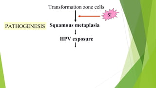 HPV exposure
PATHOGENESIS Squamous metaplasia
Transformation zone cells
SI
 