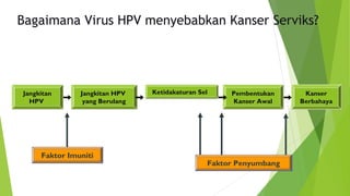 Bagaimana Virus HPV menyebabkan Kanser Serviks?
Jangkitan
HPV
Jangkitan
HPV
Jangkitan HPV
yang Berulang
Jangkitan HPV
yang Berulang
Ketidakaturan SelKetidakaturan Sel Pembentukan
Kanser Awal
Pembentukan
Kanser Awal
Kanser
Berbahaya
Kanser
Berbahaya
Faktor ImunitiFaktor Imuniti
Faktor PenyumbangFaktor Penyumbang
 