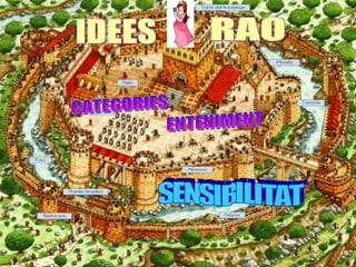 SENSIBILITAT CATEGORIES RAÓ IDEES ENTENIMENT 