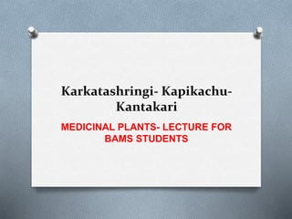 Karkatashringi- Kapikachu-
Kantakari
MEDICINAL PLANTS- LECTURE FOR
BAMS STUDENTS
 