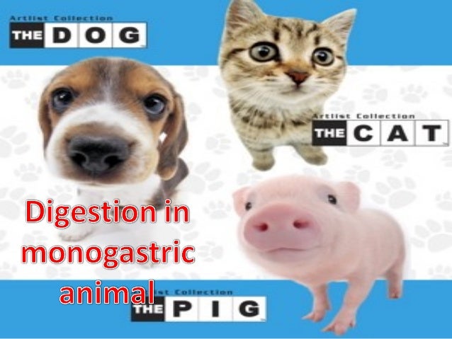 Digestion in monogastric animal and hormonal control