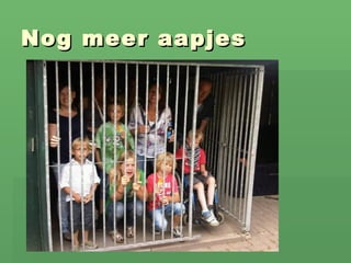 Nog meer aapjes 