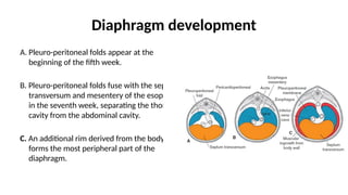 embryology of malformations with clinical references | PPTX