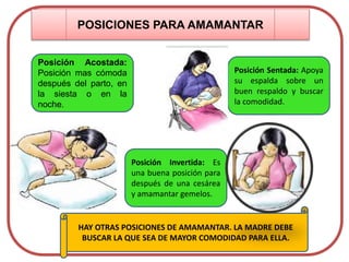 POSICIONES PARA AMAMANTAR
HAY OTRAS POSICIONES DE AMAMANTAR. LA MADRE DEBE
BUSCAR LA QUE SEA DE MAYOR COMODIDAD PARA ELLA.
Posición Acostada:
Posición mas cómoda
después del parto, en
la siesta o en la
noche.
Posición Invertida: Es
una buena posición para
después de una cesárea
y amamantar gemelos.
Posición Sentada: Apoya
su espalda sobre un
buen respaldo y buscar
la comodidad.
 
