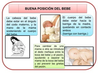 BUENA POSICIÓN DEL BEBE
La cabeza del bebe
debe estar en el ángulo
del codo materno, y la
mano de la mama
sosteniendo el cuerpo
del bebe.
Para cambiar de una
mama a otra se introduce
el dedo meñique entre la
boca del bebe y el pezón,
ayudando a separar la
mama de la boca del bebe
y así prevenir las grietas
del pezón.
El cuerpo del bebe
debe estar hacia la
barriga de la madre,
quedando en contacto
ambos
(barriga con barriga.)
 