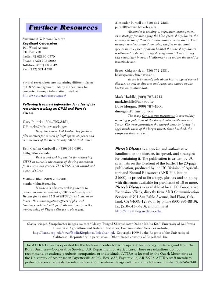 Kaolin Clay for Management of Glassywinged Sharpshooter in Grapes