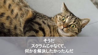 2020/09/19
45
型にハマることで学ぶ
そうだ
スクラムじゃなくて、
何かを解決したかったんだ © kaonavi Inc.
 