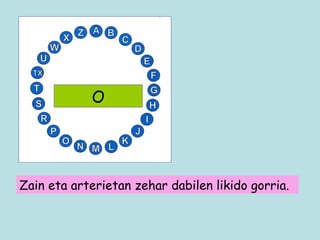 O Zain eta arterietan zehar dabilen likido gorria. 