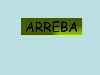 ARREBA 