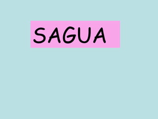 SAGUA 