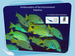  
Ambassadors of the Environment
Kapalua 
A collaboration between
 