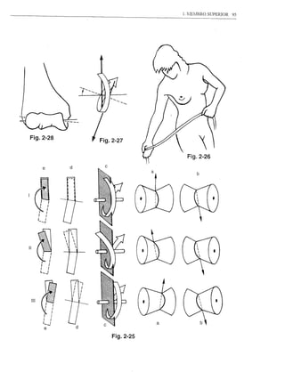 1. MEMBRO SUPERIOR   9S




lU          Fig.2-26
                          '"
                                              a
                                                   b
                                                       /';9.2-27
                                                                -  •..•.




                                                   ~




                                       
                                        

     II                        '''
                                   
                                    
                                          
                                           


            ~I        I
             I
             I      I
                     I

             L._J




      111




                                                                           a
                                           d

                                                             Fig.2-25
 