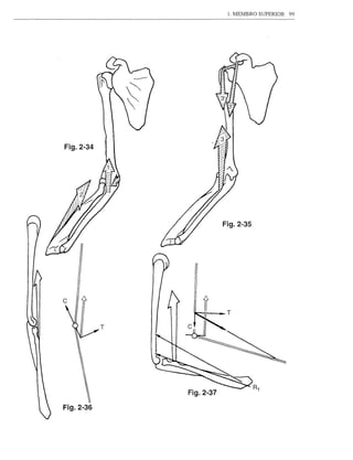 1. MEMBRO SUPERIOR   99




Fig.2-34




                          Fig.2-35




           T




               Fig.2-37

Fig.2-36
 