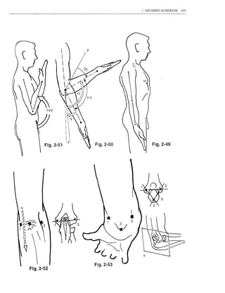 1. MEMBRO SUPERIOR   lOS




                                      1
                                      ./


       Fig.2-51   Fig.2-50                 Fig.2-49




                                                  3




                                  •
                             ~/   3




                  Fig.2-53
Fig.2-52
 